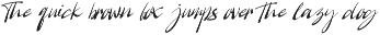 Silperiment – Stylish Handwritten preview