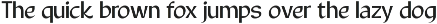 JHC Cordelius | Brutalist Typeface preview