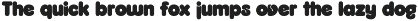 BN Monica Bold Sans Serif preview