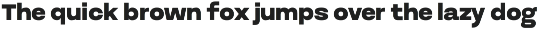 Rumeno Font Family preview