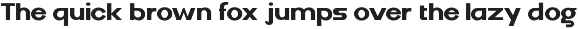 DV Curtis Sans preview