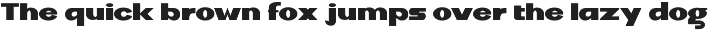 DV Curtis Sans preview
