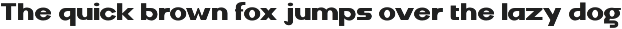 DV Curtis Sans preview
