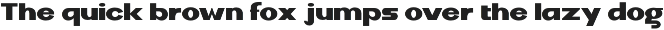 DV Curtis Sans preview