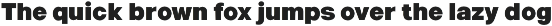 Fox Blimpo : 4 Font Styles preview