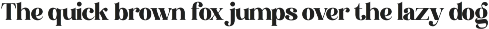Bedross - Modern Elegant Serif preview