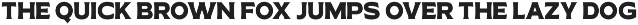 TNSC Special Season - Font Trio preview
