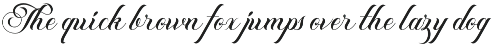 Blinka Bold Script Serif Font Duo font preview