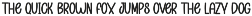 Baseball League | Script Font preview
