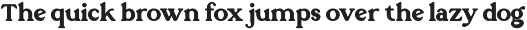 Carriage - Modern Retro Serif Font preview