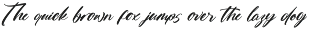 Skayhan Chester Bold Brush Font preview