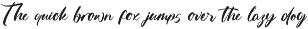 Skayhan Chester Bold Brush Font preview