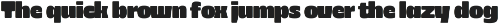 403 Zorn Variable Display Font preview