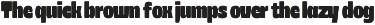 403 Zorn Variable Display Font preview