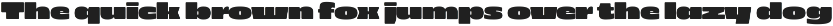 403 Zorn Variable Display Font preview