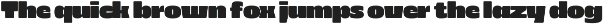 403 Zorn Variable Display Font preview