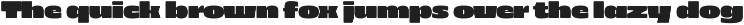 403 Zorn Variable Display Font preview