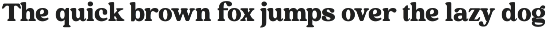 Millage - Bold Retro Serif Font preview