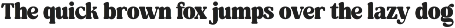 Aloha Nineties - Retro Serif Font preview