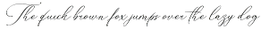 Konesta - Modern Calligraphy Script preview