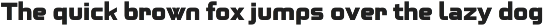 Oxona Sans Serif Roman - 04 fonts preview