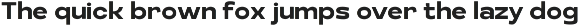 Schraft Sans Font Family preview