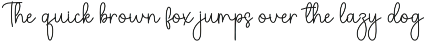 Butique | Script Font preview