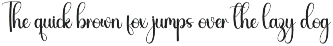 Boybird | Script Font preview
