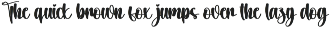 Citynight | Script Font preview