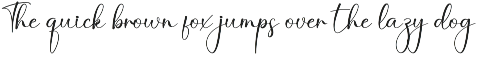 Delicius | Script Font preview