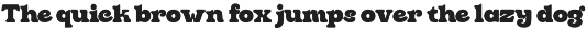 Clin Fiaro - Serif Bold Vintage preview