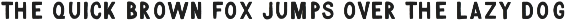 Working Man Sans Hand Drawn Font preview