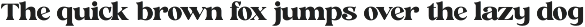 Jungle Melon Groovy Display Serif font preview