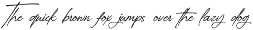 Momentra - Real Handwritten preview