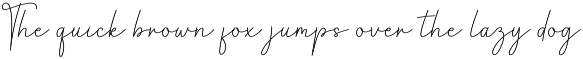 Baby Signature | Script Font preview