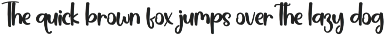 Hospital | Script Font preview