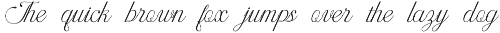 Amerys Wedding Script Font preview