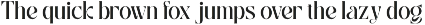Bavory - Elegant Modern Twist Serif preview