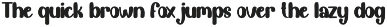 Daily | Script Font preview