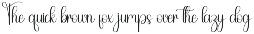 Signature Studio preview