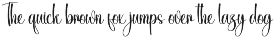 Junkfood | Script Font preview