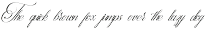 Palmeira Benvello Calligraphy preview