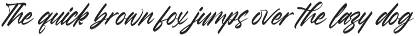 Hamilton Brittany Bold Brush Font preview