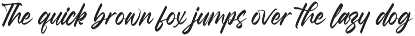 Hamilton Brittany Bold Brush Font preview