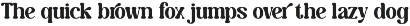 Caromy - Retro Variable Font preview
