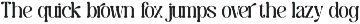 Caromy - Retro Variable Font preview
