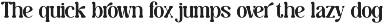 Caromy - Retro Variable Font preview