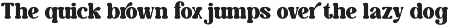Caromy - Retro Variable Font preview