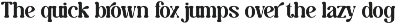 Caromy - Retro Variable Font preview