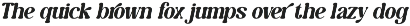 Caromy - Retro Variable Font preview